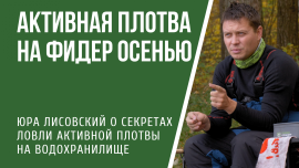 Ловля плотвы фидером на водохранилище